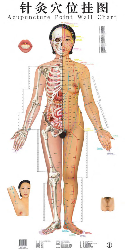 Kroppens akupunkturpunkter