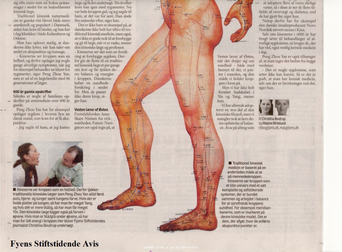  Traditionel Kinesisk akupunktur og medicin
